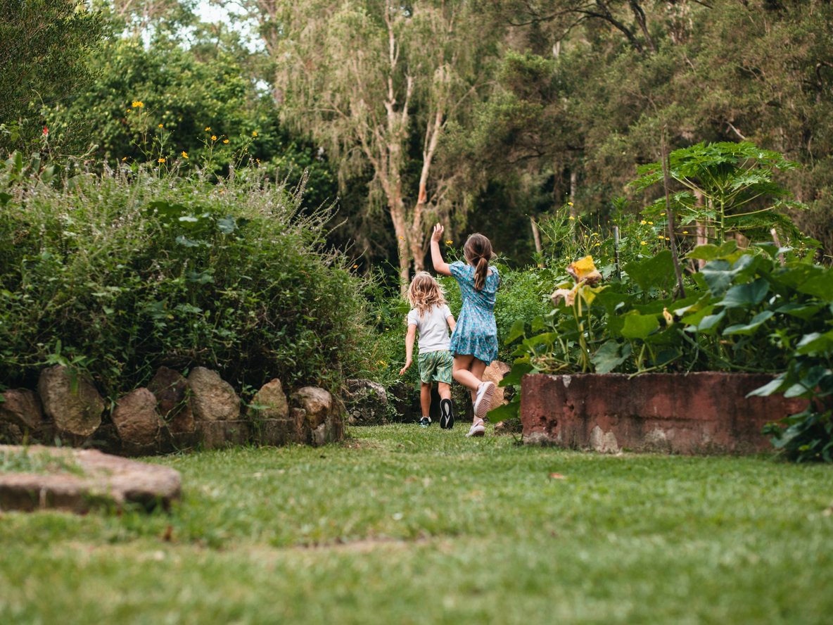School gardens at Samford Valley Steiner School